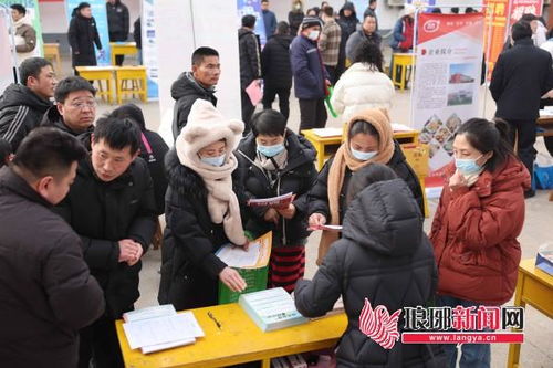 臨沂沂南 新春求職 招聘忙